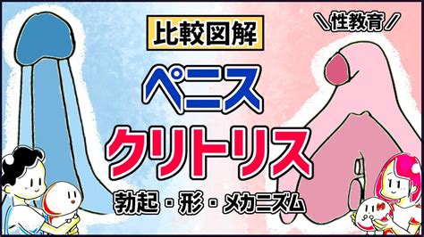 クリトリス 別名|陰核(インカク)とは？ 意味や使い方